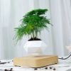 Magnetic floating Bonsai plant with pot that is totally in the air