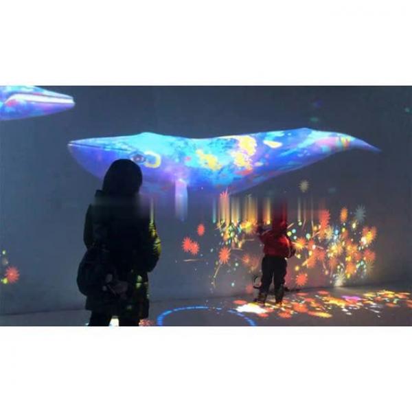 immersive system for interior areas with dream whale land effect