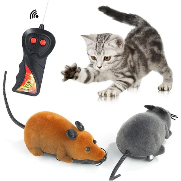 cheap remote control mouse that kittens love to chase