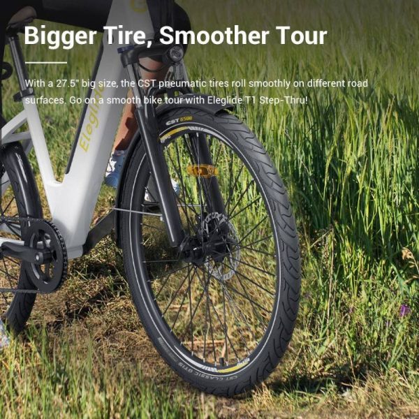 cheap electric bike with big tires