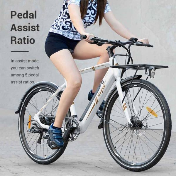 cheap electric bike with 5 pedal levels