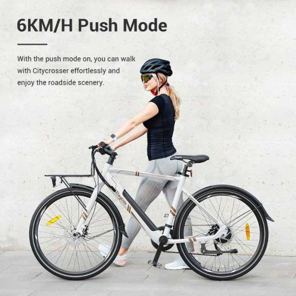 cheap electric bike with 60km push mode