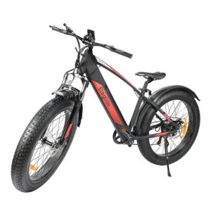 cheap electric bike with wide tires