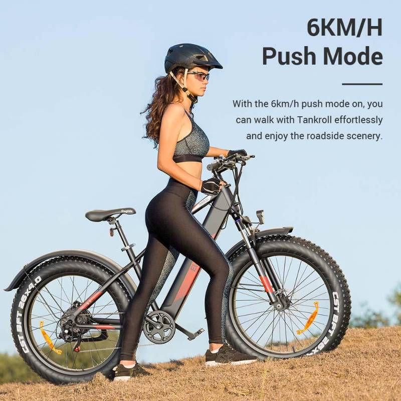cheap electric bike with 60km push mode