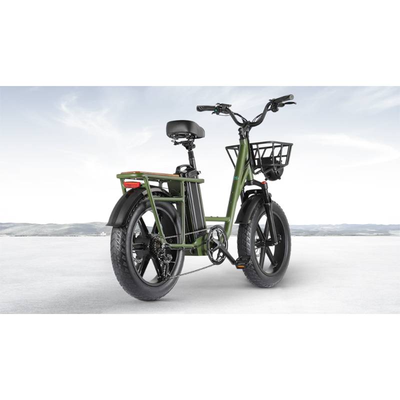 cheap electric bike with nice basket