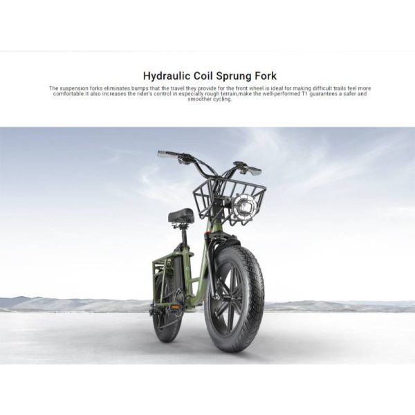cheap electric bike with high speed