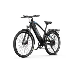 DUOTTS C29 Electric Bike