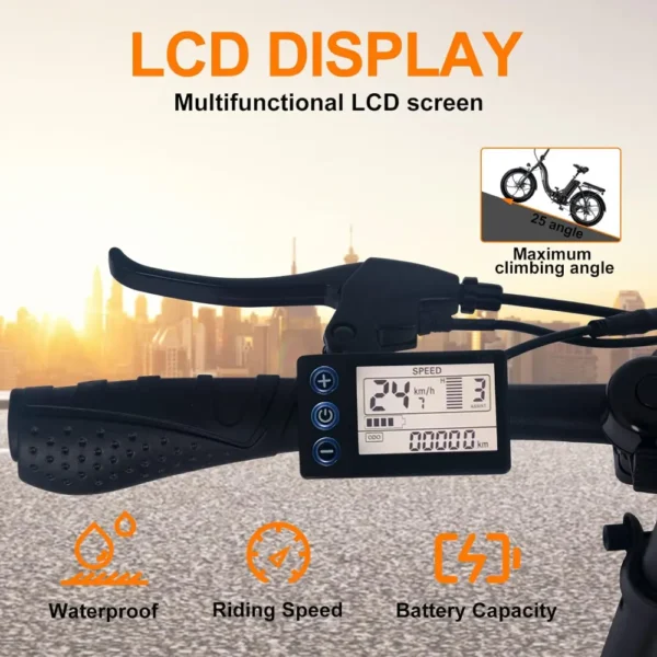 electric bike with a multifunctional LCD