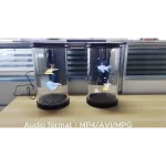 holographic projector cylinder supporting all video formats