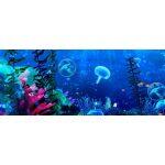 3D Interactive Immersive Holographic System for Interior Areas - Image 8