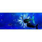 3D Interactive Immersive Holographic System for Interior Areas - Image 10