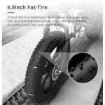 electric bike with fat durable tires