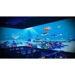 Defi - Interactive Floor and Wall Projection - Image 14