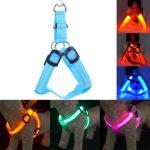 Blue Led Dog Harness Anti-Lost Charged by USB