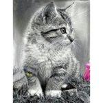 Painting with diamonds in 5d cat