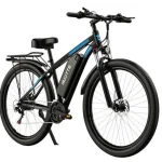 DUOTTS C29 Electric Bike with 750 Watt Motor
