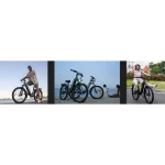 a family electric bike