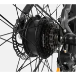 electric bike with efficient transmission system