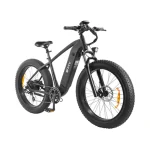 A stylish fat tire electric bike.