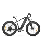 Τop-performing electric bike for rough terrain.