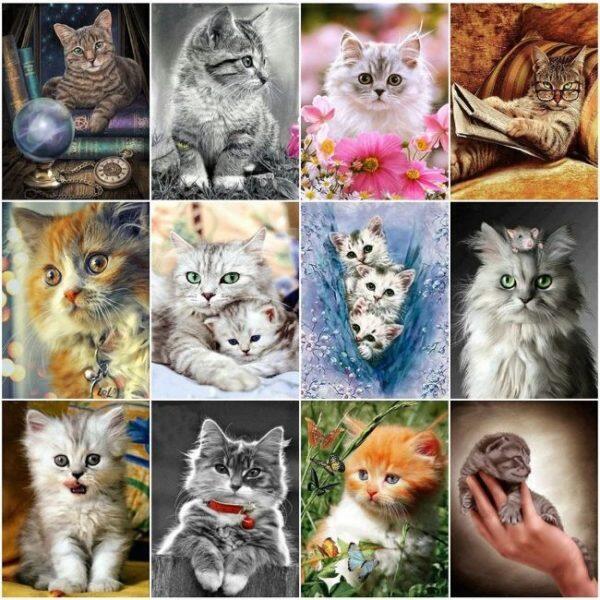 Painting with diamonds in 5dcats