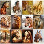 Painting with diamonds in 5d Horses