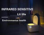 8 Colors Night Led Light for Toilet with Human Motion Sensor - Image 2