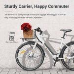 cheap electric bike with sturdy rack