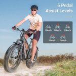 cheap electric bike with 5 pedal levels