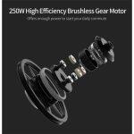 FIIDO D4S Mini Folding Electric Bike - Image 21