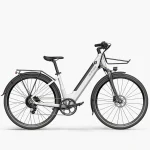 electric bike with hydraulic disk brakes