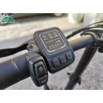 Fiido d2s weight hotsell
