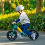 electric bike with remote controlled speed