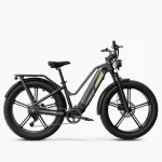 a robust electric bike