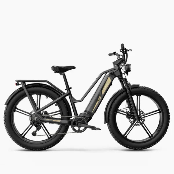 a robust electric bike