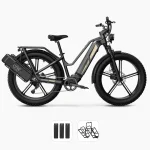 electric bike with torque sensor