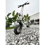 electric scooter that can switch to a portable electric snow scooter