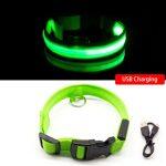 Led Dog Collar Anti-Lost Charged by USB green colar
