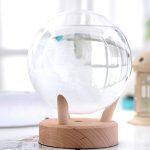 Weather Forecast Predictor Crystal Ball with LED light