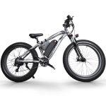 affordable electric bike in grey color