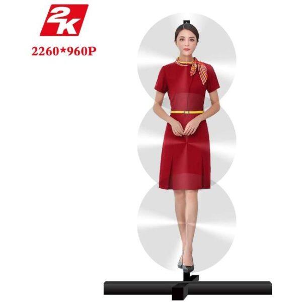 System of Hologram Projectors with Stand