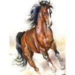 Painting with diamonds in 5d free horse