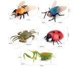 rc insects dimensions