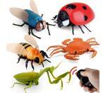Infrared Remote Control Insects and Animals