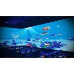 Defi - Interactive Floor and Wall Projection - Image 11