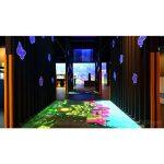 Interactive Dynamic Floor Projection System for Kids - Gooest - Image 12
