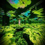 immersive system for interior areas with multiple effects