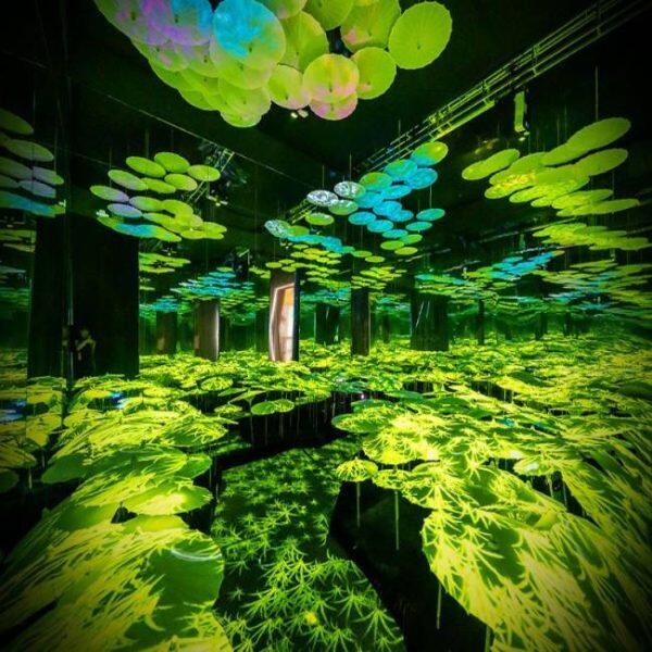 immersive system for interior areas with multiple effects