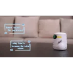 robot with a remote controller