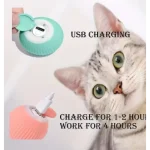 rechargeable pet toy